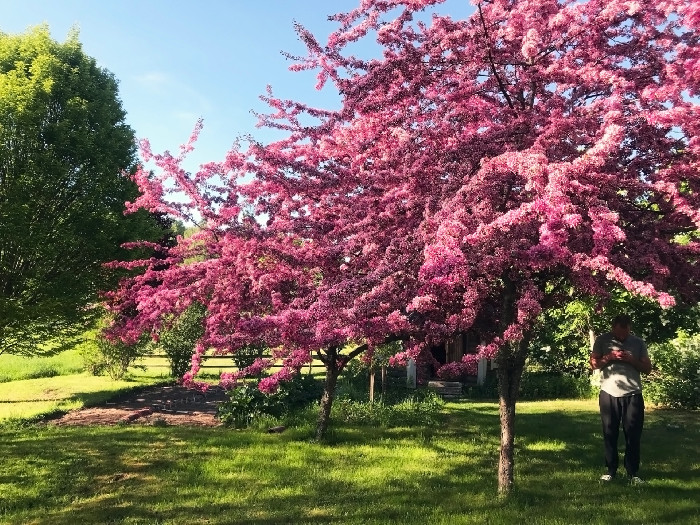 www.klockargardensvaffleri.se